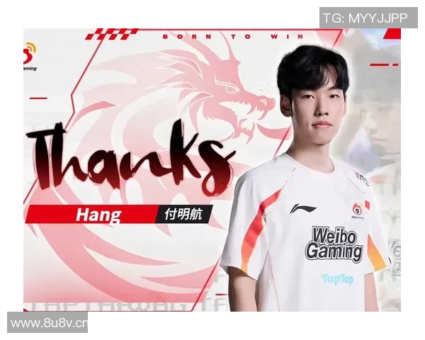 英雄联盟力量排行榜揭晓V5战队荣登第四名引发热议